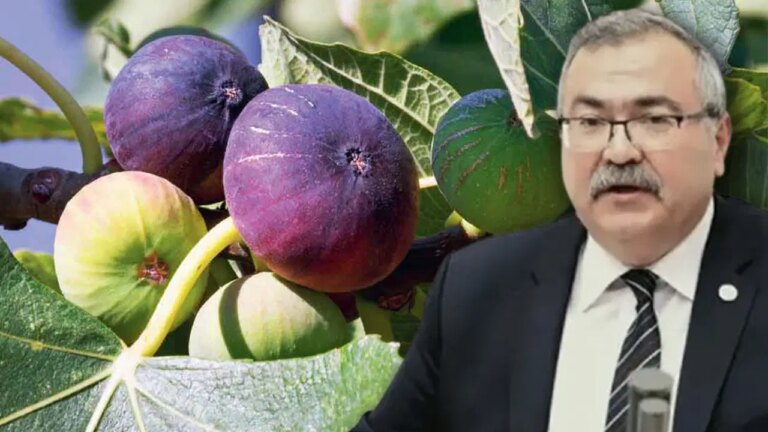 chpli-vekil-isyan-etti-markette-yuzde-700un-uzerinde-fiyat-farkiyla-satiliyor-UMWiuSf9.jpg