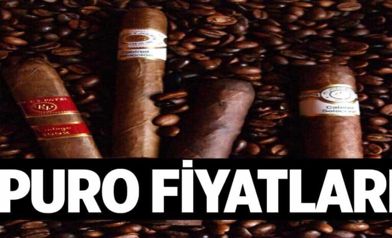 Puro Fiyatlari 1024x622HrZ.jpg