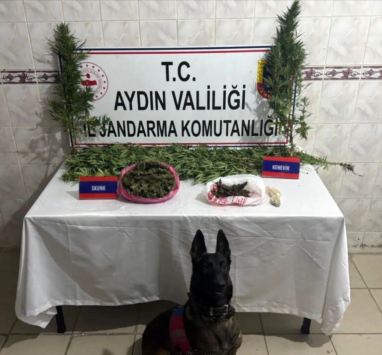 nazillide uyusturucu operasyonu 498 gram skunk ve 17 kok bitki ele gecirildi s56jAhry.jpg