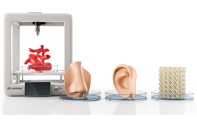 Doku Mühendisliği ve Üç Boyutlu Biyoyazıcı Teknolojileri