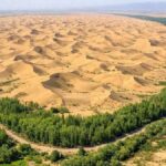 colu-bugday-tarlasina-cevirdiler-hasadina-yetisemiyorlar-RMMi4GpF