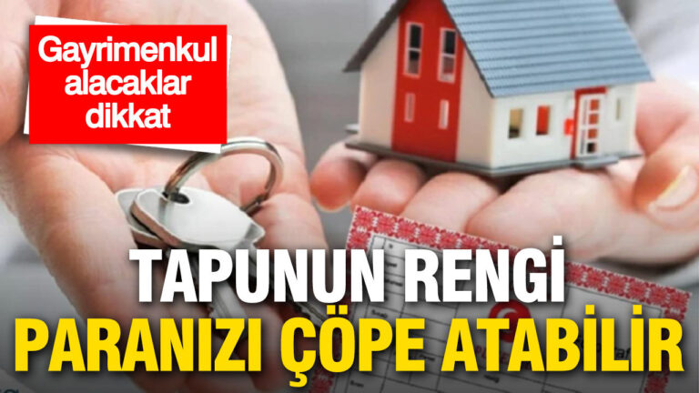 gayrimenkul-alacaklar-dikkat-tapunun-rengi-paranizi-cope-atabilir-bvsZlkka