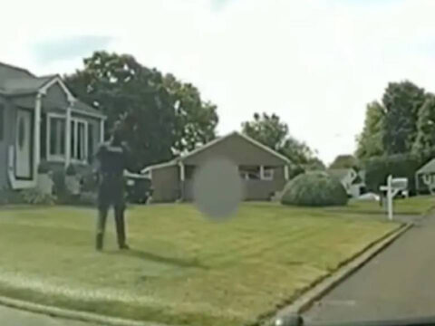 Haber gorseli